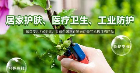 玉手一次性PVC手套 医疗级防护与多领域应用详解